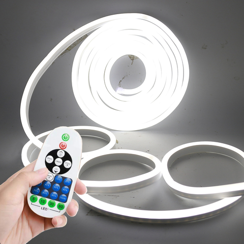 Dimmable Neon Led Light Strip 220V 110V US EU UK Kit Neon Sign Lamp With Dimmer 2835 120LED/m Waterproof Flex Led Rope Lights ► Photo 1/6