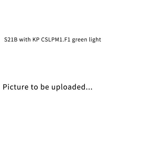 S21B with KP CSLPM1.F1 green light ► Photo 1/1