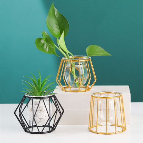 Nordic Style Golden Black Glass Hydroponic Iron Line Flower Vase Metal Plant Holder Modern Home Decor Vases Ornament ► Photo 1/6