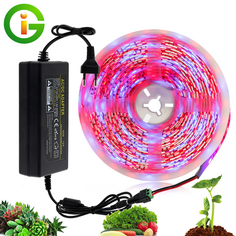 LED Grow Light 5M Waterproof DC12V Full Spectrum Growing LED Strip Plant Growth Light Set With US/EU Adapter And Switch ► Photo 1/6