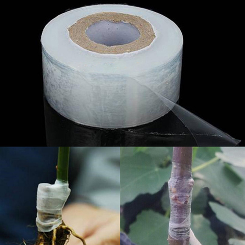 PE Grafting Tape Film Self-adhesive Portable Garden Tree Plants Seedlings Grafting Supplies Stretchable Eco-friendly30MM*120M ► Photo 1/6