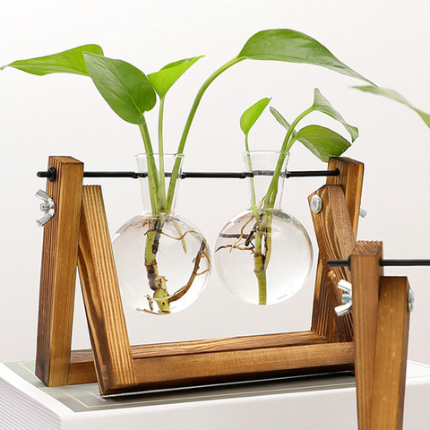 Propagation Station Glass Hydroponic Planter Bulb Terrarium Vase with Retro Wooden Stand for Hydroponics Plants Table Decor ► Photo 1/6