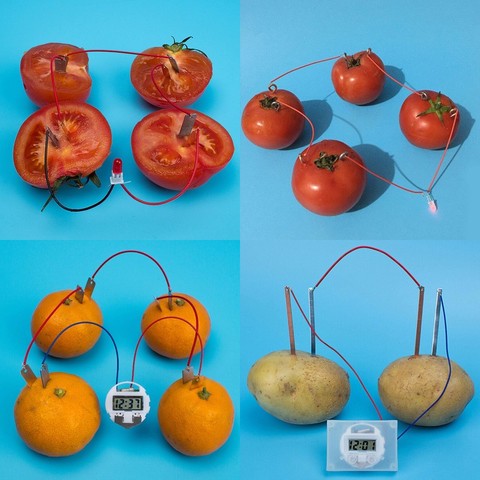 Bio Energy Science Kit Potato Fruit Supply Electricity Experiments Kids Children Student Learining Science Educational Toy ► Photo 1/6