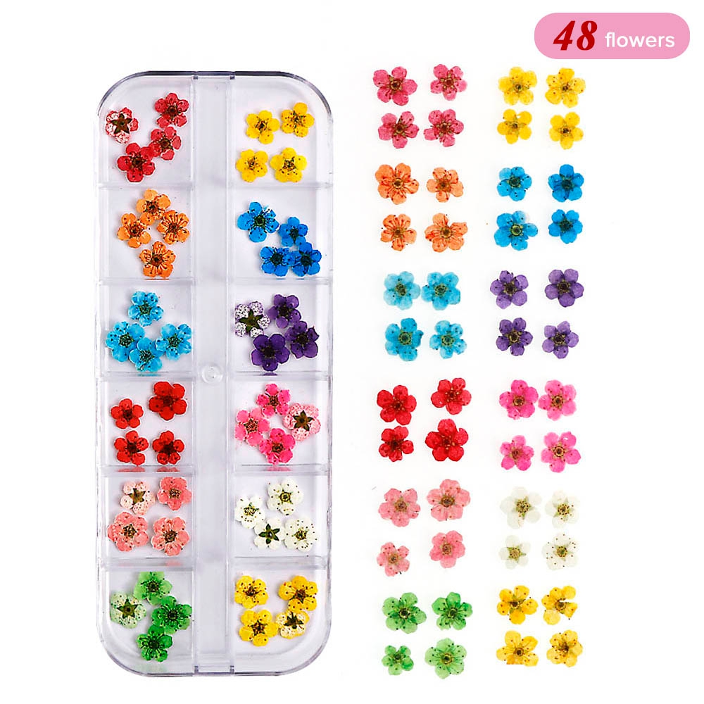 Buy Online Real Nail Lace Dried Flowers Leaf Nail Art Decoration Diy Tips Small Flowers Nails Stickers For Manicure Tools Alitools