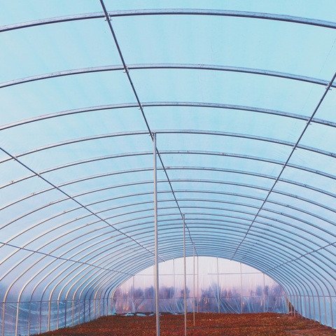 Greenhouse for planting cucumber and tomato in outdoor garden ► Photo 1/1