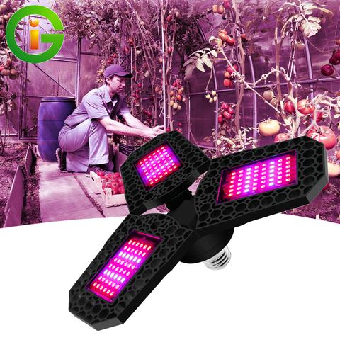 LED Phyto Lamp AC100-277V 40W 60W 80W E27 Full Spectrum LED Grow Light Indoor Fitolampy Waterproof For Plants Flowers Grow Box ► Photo 1/6