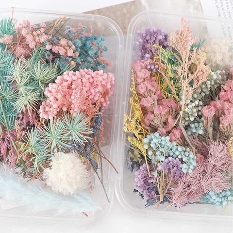 Mix Beautiful Real Dried Flowers Natural Floral for Art Craft Scrapbooking Resin Jewelry Craft Making Epoxy Mold  ► Photo 1/6