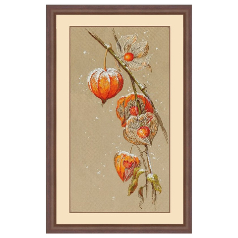 Top Quality Beautiful Lovely Counted Cross Stitch Kit Lantern Flower Red Flower Physalis Alkekengi Autumn Ground Cherry ► Photo 1/5