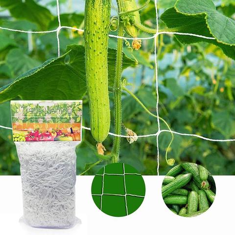 20m Garden Plant Trellis Netting Heavy Duty Mesh Vine Landing Garden Weaving Grow Frame Vegetable Flower Cucumber Climbing Net ► Photo 1/6