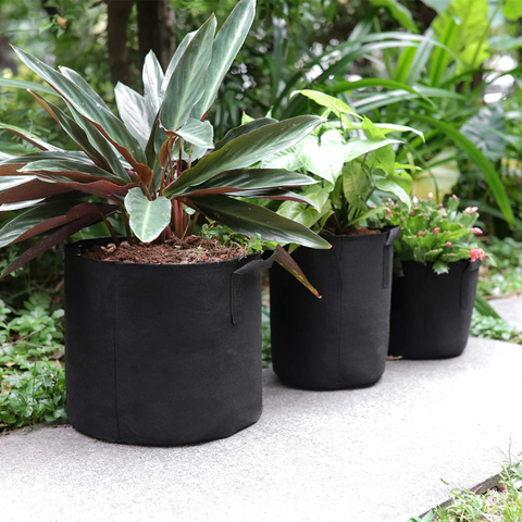 Planting Bag Black Potato Fabric Vegetable Seedling  growing pot garden tools 1-15 Gallon Eco-Friendly Grow bag ► Photo 1/6