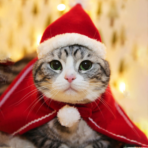 Christmas Cat Costumes Funny Santa Claus Clothes For Small Cats Dogs Xmas New Year Pet Cat Clothing Winter Kitten Outfits 2022 ► Photo 1/6