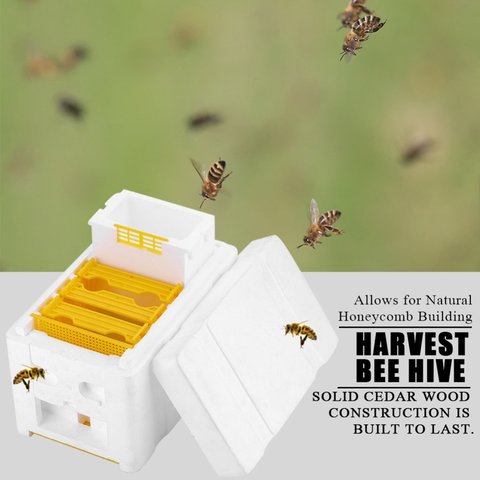 Bee Hive Beekeeping King Box Pollination Box Foam Frames Beekeeping Tool Kit ► Photo 1/6