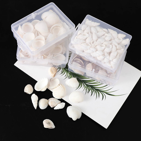 1 Box 4 Styles Nature Beach Fashion Shells Sea Shells For DIY Caft Decor Jewelery Craft Accessories Holes Shell Charm Nail Shell ► Photo 1/6