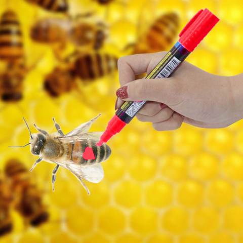 New Hot Queen Bee Marking Beekeeper Marker Pen Beekeeping Plastic Marks Pen 5 Colours White Yellow Red Green Blue Bee Tools ► Photo 1/6