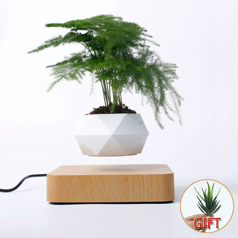 Hot Sale Levitating Air Bonsai Pot Rotation Planters Magnetic Levitation Suspension Flower Floating Pot Potted Plant Desk Decor ► Photo 1/6