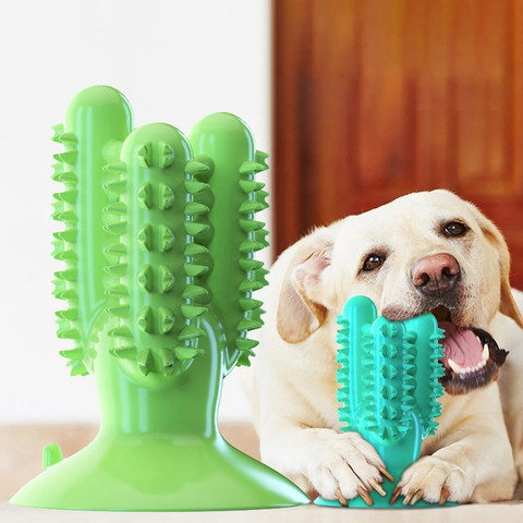 Bite Resistant Dog Toothbrush Pet Molar Tooth Cleaning Brushing Stick Dog Toy Dog Chew Toys Doggy Puppy Dental Care Pet Supplies ► Photo 1/6