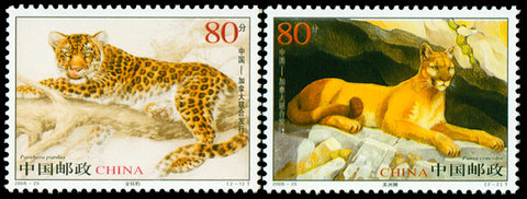 6 pcs  Panthera pardus and Eastern Cougar 2005-23 China stamp postage collection ► Photo 1/1