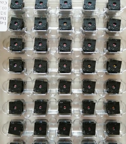 FLiR Lepton 1.5 2.0 2.5 3.0 3.5 version Dev Kit Red exterior thermal image camera movement lepton1.6 lepton3.5 lepton1.5 ► Photo 1/1