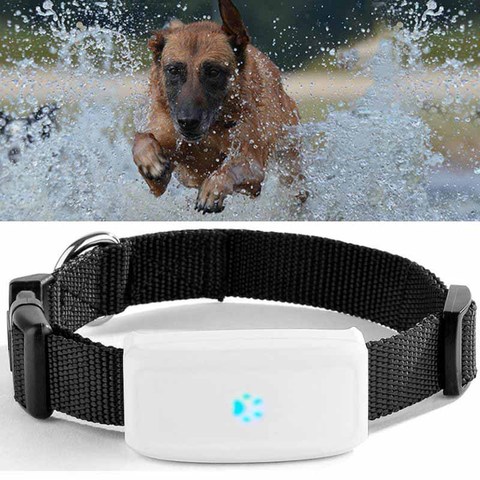 TKSTAR MiNi GPS Tracker Pets WiFi +GPS+LBS Real Time Tracking GPS Dog Tracker Cats GSM GPS Locator Free APP Track Alarm Devic ► Photo 1/6