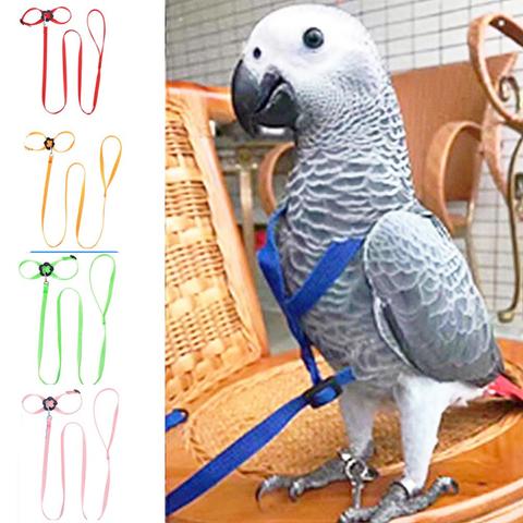 Pet Bird Harness and Leash Adjustable Parrot Bird Harness Leash Pet Anti Bite Training Rope Soft Portable Pet Playthings ► Photo 1/6