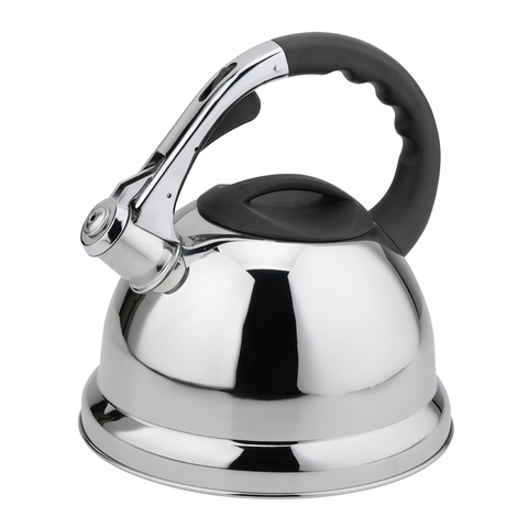 Hausroland 4.5l Stainless Steel Whistling Kettle Big Size Induction Water Teapot ► Photo 1/6