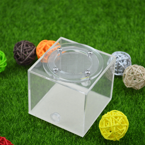 Square Ant Nest Transparent Activity Area Acrylic Ant Farm Climbing Pet Feeding Box 7x7x7 cm ► Photo 1/6