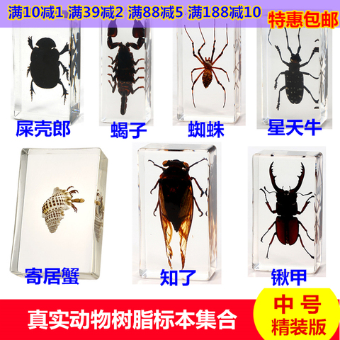 Children's real insect specimens resin amber cicada cicada centipede black scorpion spade beetle spider carapace crab turtle ► Photo 1/3