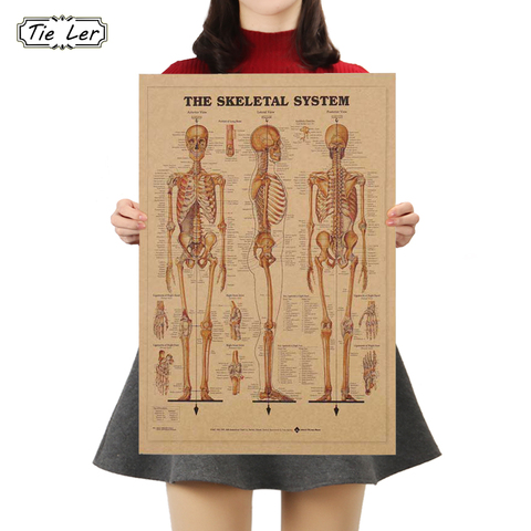 TIE LER The Skeleton of The Body Structure Nervous System Poster Bar Home Decor Retro Kraft Paper Painting 42x29cm Wall Sticker ► Photo 1/6