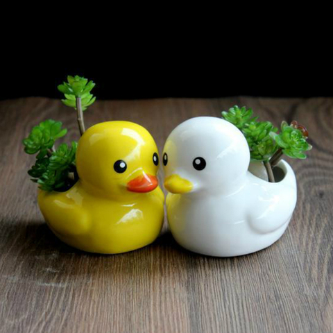 Cute Duck Flowerpot Ceramic Hydroponic Vase Planter Desktop Ornaments Home Decor Garden Pot Succulent Plant Pot ► Photo 1/1