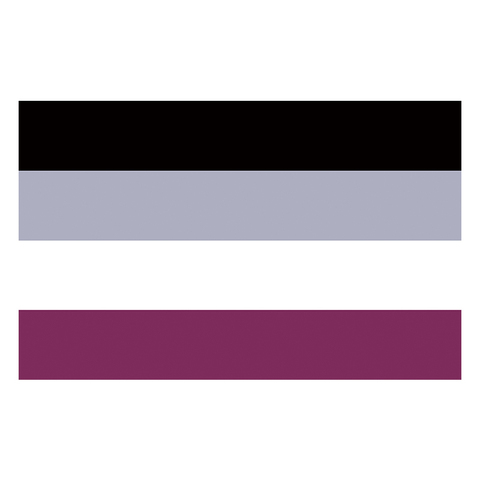 free  shipping  xvggdg  rainbow Flags  90x150cm   LGBTQIA Ace Community nonsexuality Asexuality asexual pride Flag ► Photo 1/4