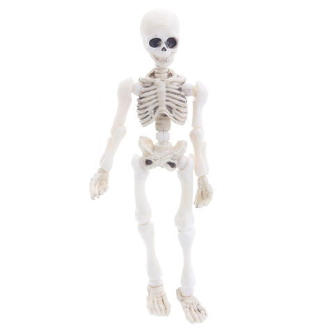 Movable Mr. Bones Skeleton Human Model Skull Full Body Mini Figure Toy Halloween ► Photo 1/1