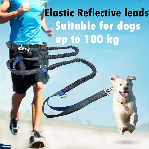 3 colors Dogs Leash Harnesses Outdoor Running Elasticity Hand Freely Pet Dogs Harness Collar Jogging Lead Adjustable Waist Rope ► Photo 1/6