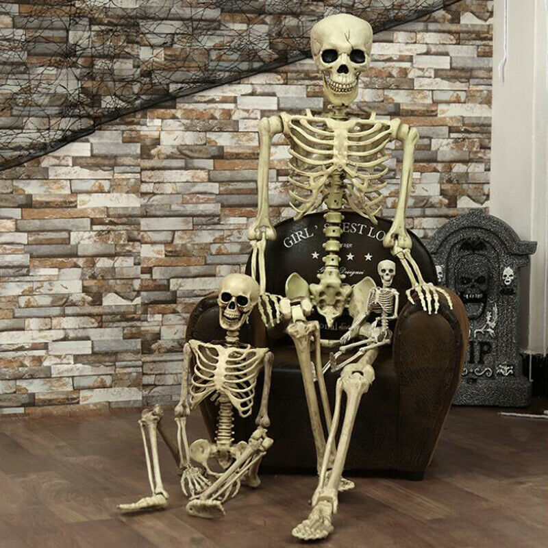 MZSHM Halloween Prop Skeleton Full Size Skeleton Skull Hand Lifelike Human Body Poseable Anatomy Model Party Festival Decoration