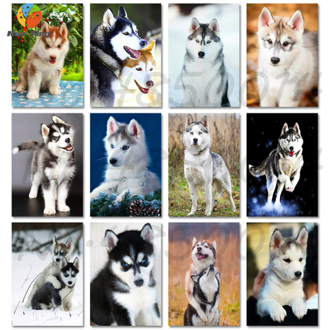 5D Diy Diamond Painting Animal Dog 3D Diamond Mosaic Full Round Rhinestone Diamond Embroidery Husky Pet Pictures Of Rhinestone ► Photo 1/6