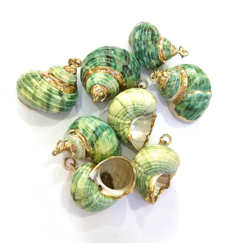 5Pcs/lot Natural Shell Pendants Green Shell Conch Pendant Charms For Jewelry Making DIY Accessories Fit Necklace Earrings ► Photo 1/5