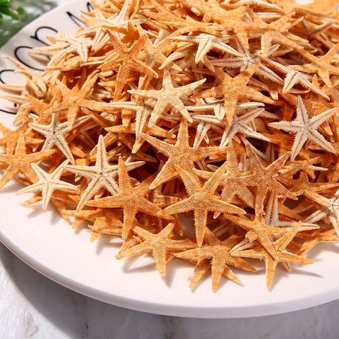 Mini Real Starfish Craft Decoration Natural Sea Stars DIY Beach Cottage Wedding Decor sea shells party sea conch ► Photo 1/6