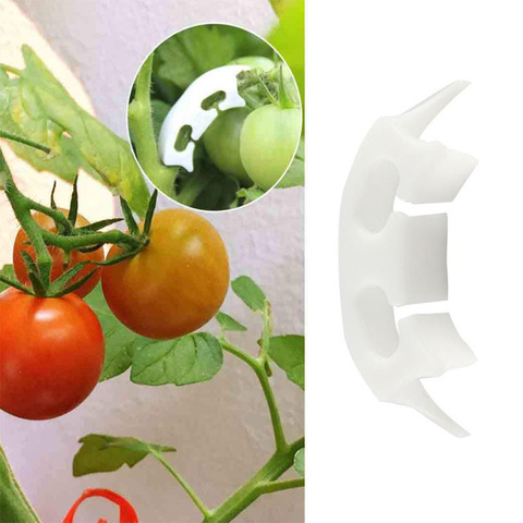 100 Pcs Plant Vine Seedlings Grafted Retaining Clips Garden Flower Tomato Fruit Branches Transplanting Support Tool ► Photo 1/5