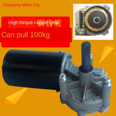 Worm Gear Reducer Motor 12V/24V 80W 90W 100W Turbine DC Reducer Copper Turbine Roller Gate ► Photo 1/5