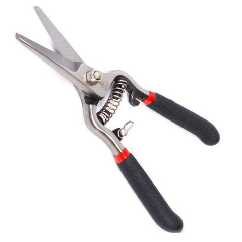 8 Inch Florist Scissors for Herbs Grape Trimmers with Spring Curved Safety Lock Pruning Shears Multi Use Garden Snips ► Photo 1/6