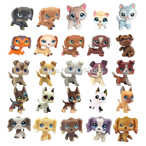 LPS CAT Rare Animal Pet Shop Toys Stands Dog Dachshund Collie Cocker  Spaniel Great Dane Husky Old Original Figure Collection - Price history &  Review, AliExpress Seller - childworld Store