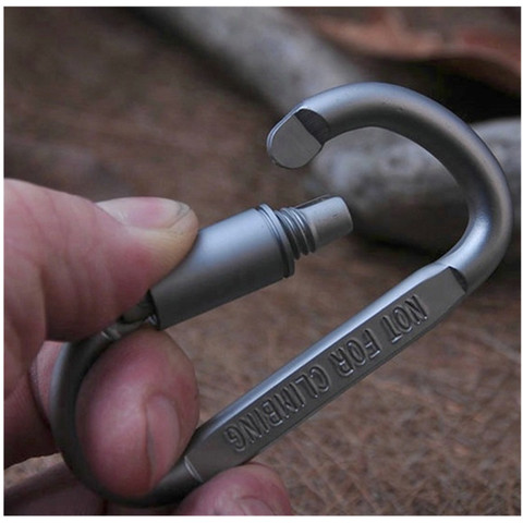 1PC D Shaped Camping Carabiner Aluminum Alloy Locking Hook Ring Key Climbing Outdoor Camping Climbing Tools Accessories ► Photo 1/5