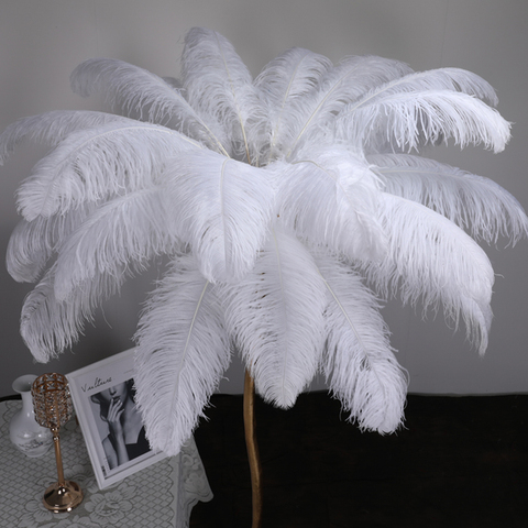Wholesale 15-70cm Natural White Feathers Ostrich Plumes Diy Large Ostrich  Feathers Party Wedding Feathers For Crafts Decorations - Feather -  AliExpress