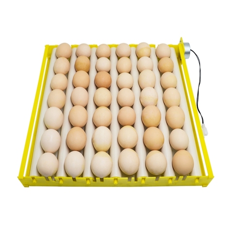 Automatic 360 Degree Rotary Egg Turner Roller Tray Duck Quail Bird Poultry Eggs Hatching Incubator Farm Incubation Tool Supplies ► Photo 1/6