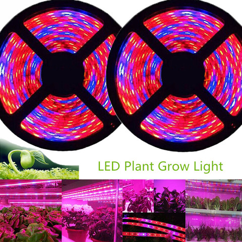 5m Phyto LED Grow Light 12V Full Spectrum LED Growing Diode Tape Lamp 5050 LED Strip Plant Phytolampy IP65 Flexible Aquarium ► Photo 1/6