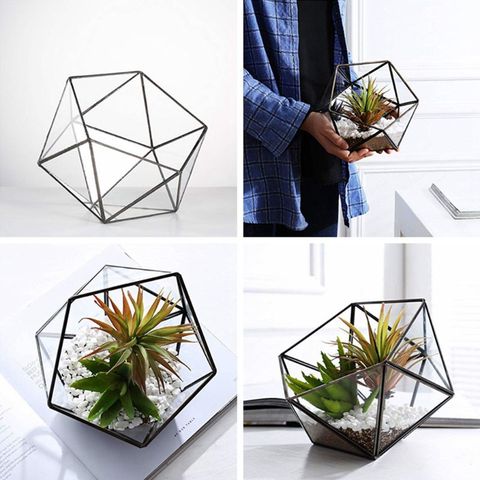 2022 New Glass Terrarium Storage Box Jewelry Holder,Glass Geometric Terrarium Tabletop Succulent Plant Box Planter Holder ► Photo 1/5