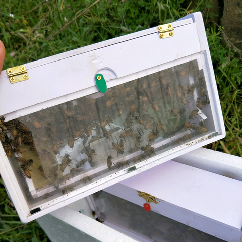 X2 Charliebeekeeping New Transparent Observe Mating Nuc Mini Mating Box Nuc Beehive ► Photo 1/6