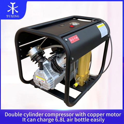 4500PSI Double Cylinder PCP High Pressure Air Compressor with Double Filter for Air Rifle Bomb Tank ► Photo 1/6