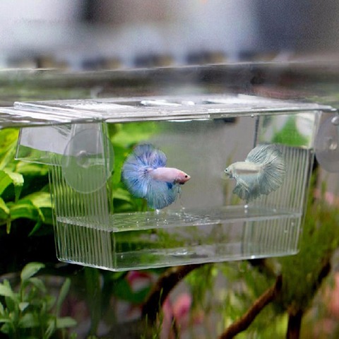 Aquarium Transparent Double Bowl Fighting Fish Mini House Incubator Box For Fry Isolation Hatchery Reptile Cage Turtle House ► Photo 1/6