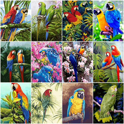 HUACAN Paint By Number Parrot Drawing On Canvas HandPainted Painting Art Gift DIY Pictures By Number Animal Kits Home Decor ► Photo 1/6