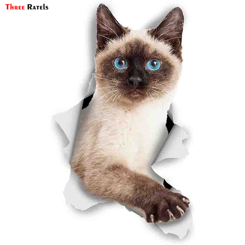 FTC-1040 Three Ratels 3D Cat Stickers Breakout Siamese  for Wall Fridge Toilet Diary Stationery Album Flakes Scrapbookin ► Photo 1/3